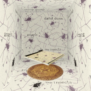Angels & Insects