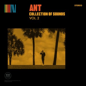 Collection Of Sounds Vol. 2 (Yellow Vinyl)