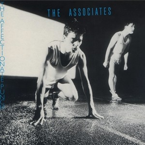 The Affectionate Punch (Turquoise Vinyl)