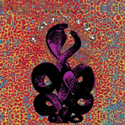Amanita (Purple Vinyl)