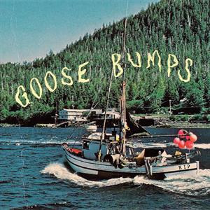Goose Bumps (Blue Vinyl)