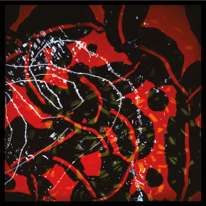 Nerve Net