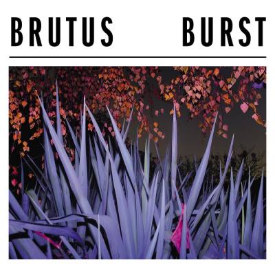 Burst (Lilac/Clear Vinyl)