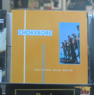 Anything Near Water (Orange Vinyl)