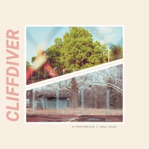 At Your Own Risk // Small Hours (Pink Vinyl)