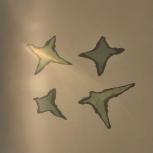 Daystar