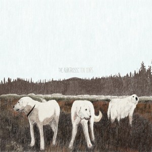 The Albatross: Ten Years (Brown Vinyl)