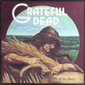 Wake of the Flood (Picture Disc)