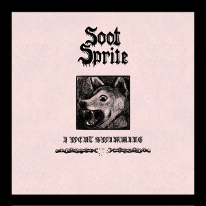 I Went Swimming / Home Among Your Bones (Eco Mix Vinyl)