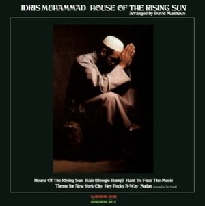 House of the Rising Sun (Flaming Vinyl)