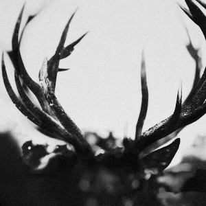 Ihsahn (Black Yolk Vinyl)