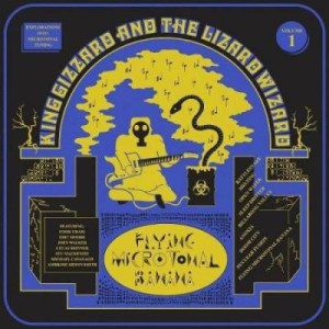 Flying Microtonal Banana (Eco-mix Vinyl)