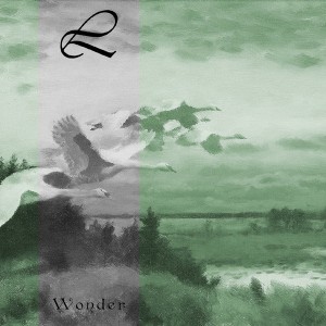 Wonder
