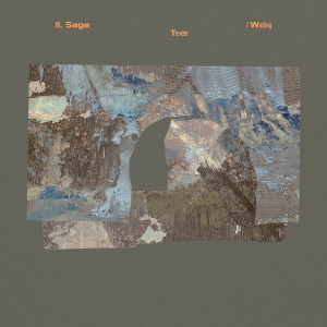 Tender / Wading