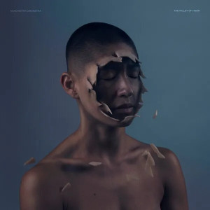 The Valley Of Vision (Clear Vinyl)