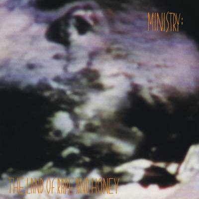 The Land Of Rape And Honey (Orange/Gold Vinyl)