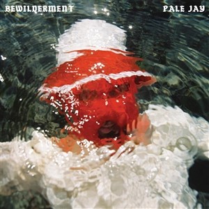 Bewilderment  (Red Vinyl)