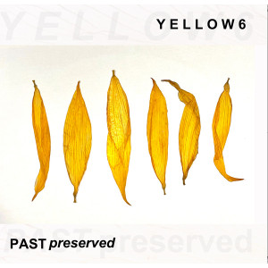 Past Preserved (Yellow Vinyl)