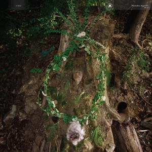 Maggot Mass (Green Vinyl)