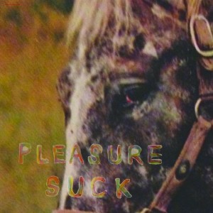 Pleasure Suck (Orange Vinyl)