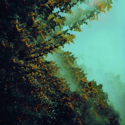 Caterpillars Of Creation (Turquoise Vinyl)