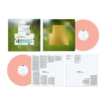 Everything Was Beautiful (Deluxe Vinyl)