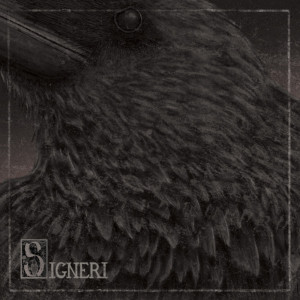 Signeri