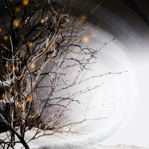 Winterlight