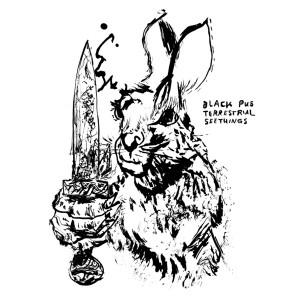 Terrestrial Seethings (Silver Vinyl)