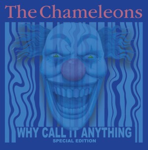 Why Call It Anything (Blue & Orange Vinyl)