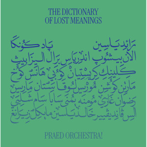 The Dictionary Of Lost Meanings