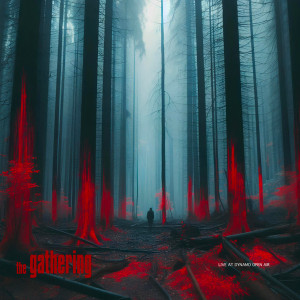 Live At Dynamo Open Air