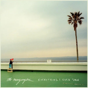 Everything I Ever Saw (Coke Bottle Clear Vinyl)