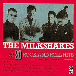 20 Rock n' Roll Hits of the 50's and 60's