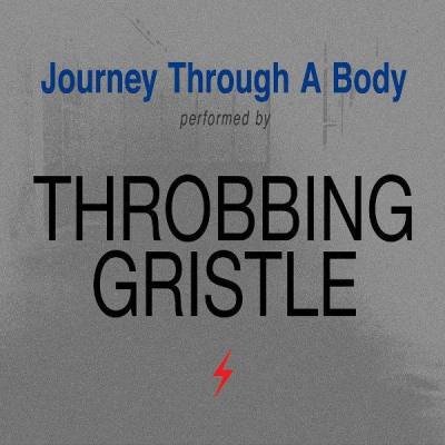 Journey Through A Body (Silver Vinyl)