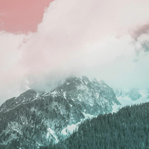 Organic Music Tapes vol 4