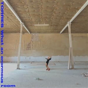 What An Enormous Room (Blue/White Vinyl)