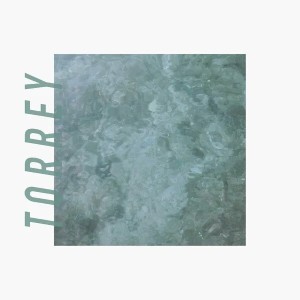 Torrey (Milky Clear Vinyl)