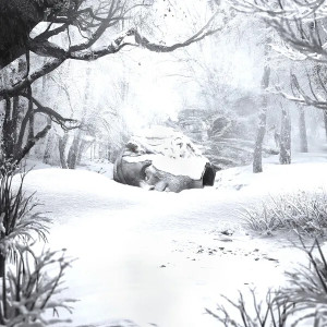 SZNZ: Winter (Clear Vinyl)
