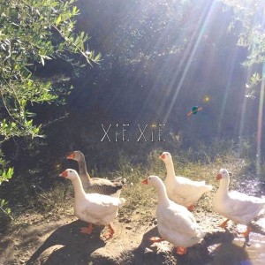 xiexie / 33